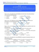 bài kiểm tra tiếng anh 1