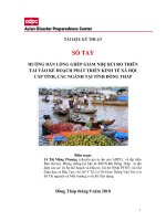 HƯỚNG DẪN LỒNG GHÉP GIẢM NHẸ RỦI RO THIÊN TAI VÀO KẾ HOẠCH PHÁT TRIỂN KINH TẾ XÃ HỘI CẤP TỈNH, CÁC NGÀNH TẠI TỈNH ĐỒNG THÁP