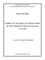 Nghiên cứu đa dạng cây thuốc ở khu dự trữ sinh quyển rừng ngập mặn cần giờ 