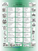 716 animal riddles 1 easy 