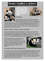 14714 reading 1  what do you know about giant pandas 