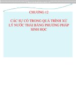 Bài giảng các sự cố trong quá trình xử lý nước thải bằng phương pháp sinh học