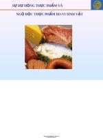 SỰ hư HỎNG THỰC PHẨM và NGỘ độc THỰC PHẨM DO VI SINH vật 