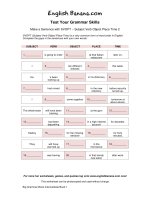 make a sentence with svopt subject verb object place time 2 