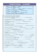 5513 conditional clauses 