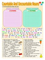 36192 countable and uncountable nouns 