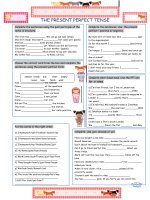 16275 the present perfect tense 