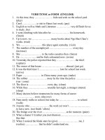VERB TENSE or FORM  (ENGLISH)