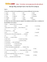 Bài tập Tiếng Anh lớp 8 Unit 4: Our Past Số 4 có đáp án