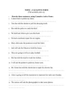TOPIC  CAUSATIVE FORM