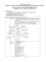 Giáo án Tiếng Anh 6 unit 16: Man and the enviroment