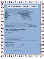 20474 present perfect and past simple 