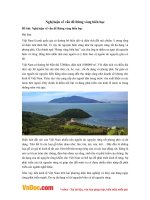 Văn mẫu lớp 9: Nghị luận về vấn đề Rừng vàng biển bạc