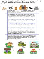 islcollective worksheets elementary a1 preintermediate a2 elementary school high school reading writing cats and houses 4617341795700e47beeba18 64703052 