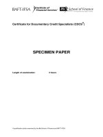 CDCS specimen paper