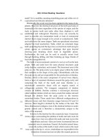 501 critical reading questions p21