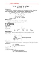 Giáo án Tiếng Anh 6 unit 4: Big and small