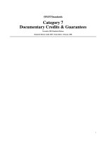 swift standards category 7 documentary credits guarantees