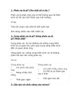 Đề thi và đề cương ôn tập sinh học lớp 8 hiệu quả nhất