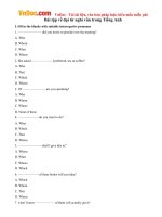 Bài tập về đại từ nghi vấn trong Tiếng Anh có đáp án