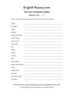 what can i do places in a town 1 ev84 