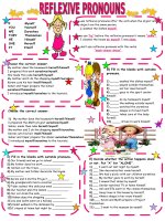 10228 reflexive pronouns 