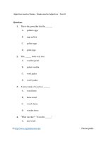 Adjectives used as nouns   nouns used as adjectives   test 01 