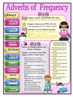 3943 frequency adverbs 