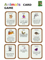 2952 animals card game 