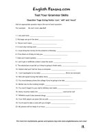 question tags using verbs can will and must brb11 