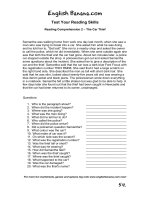 reading comprehension 2 the car thief 