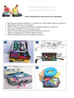 56914 holiday suitcase 2 