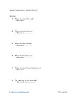 Sentence transformation   basic level test 01 