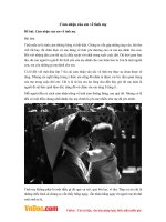 Văn mẫu lớp 7: Cảm nhận của em về tình mẹ