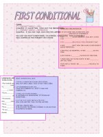 979 first conditional 