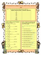 5024 possessive adjectives with the verb to be  