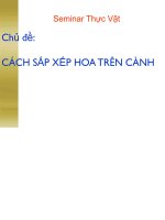 CÁCH sắp xếp HOA TRÊN CÀNH 