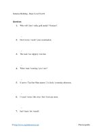 Sentence building   basic level test 01 