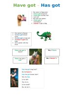 Have got  has got handout 