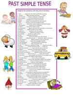 16255 past simple tense 