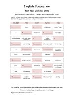 make a sentence with svopt subject verb object place time 1 