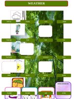 20917 weather pictionary 