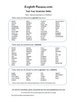 verb plus gerund ing noun or infinitive 