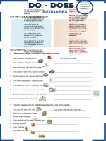 10424 auxiliaries do  does 