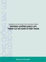 NGHIÊN CỨU RÀ SOÁT CÁC CHƯƠNG TRÌNH PHÒNG CHỐNG BẠO LỰC TRÊN CƠ SỞ GIỚI Ở VIỆT NAM