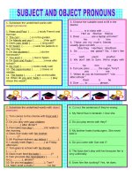 17049 subject and object pronouns 