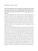 Writing Task 2 Sample 4