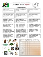 2602 lets talk about pets 