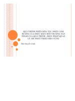 ĐỀ tài QUÁ TRÌNH PHÈN hóa tác NHÂN ẢNH HƯỞNG của điều KIỆN môi TRƯỜNG sản PHẨM của QUÁ TRÌNH, BIỆN PHÁP QUẢN lý để PHÁT TRIỂN bền VỮNG 