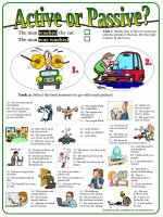 8137 active or passive 3  multiple choice exercises with key in past simple 